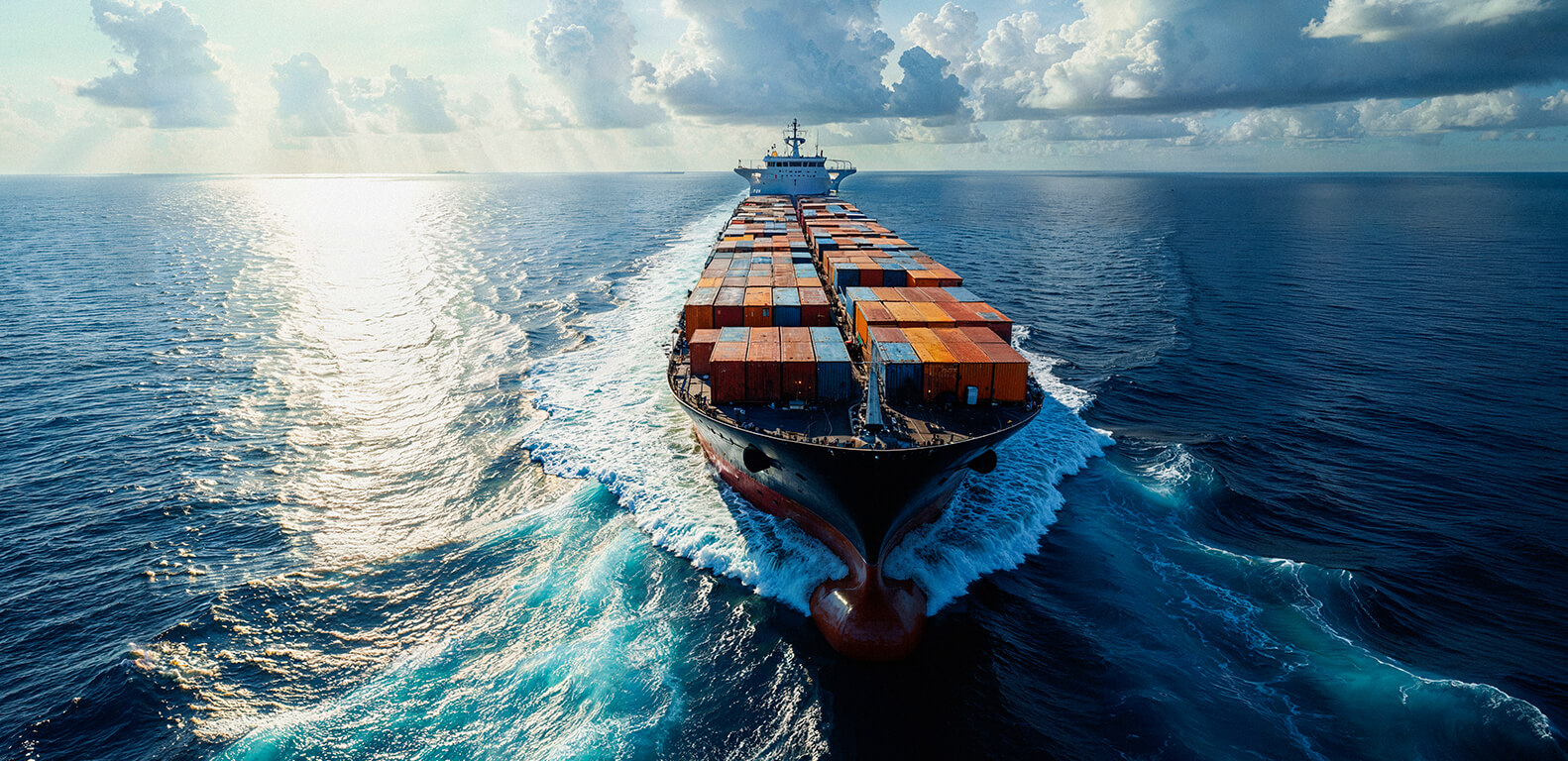 portfolio-details-05