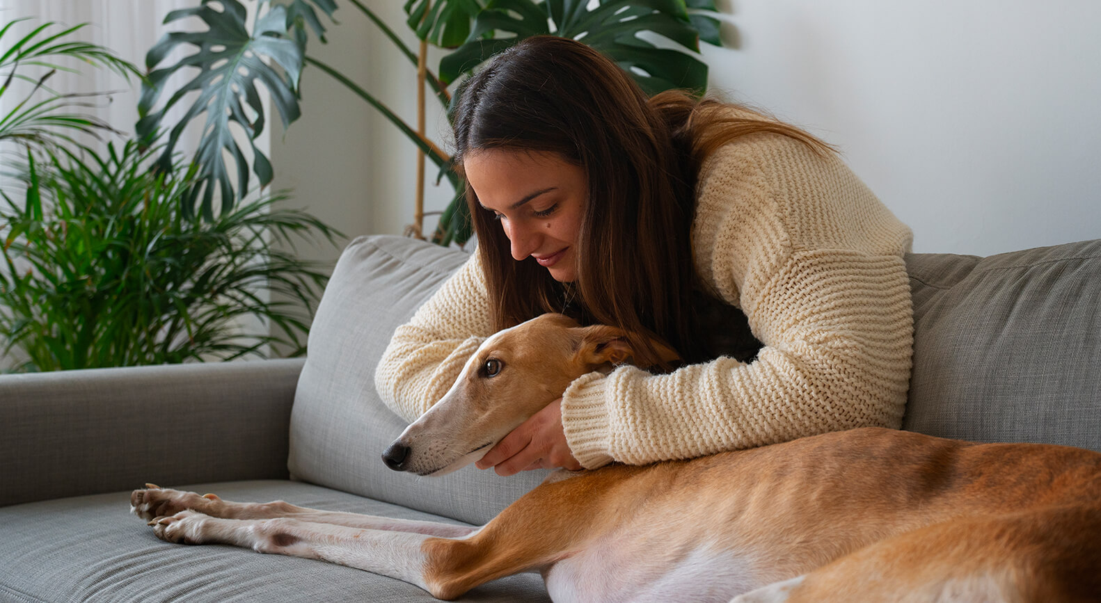 portfolio-details-07