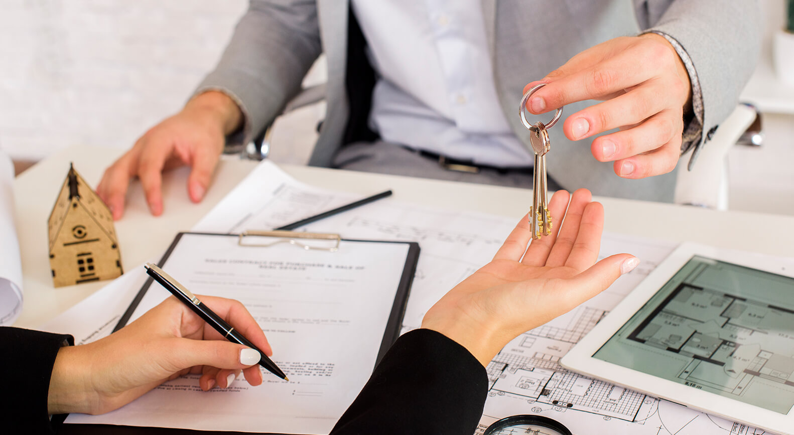 portfolio-details-08